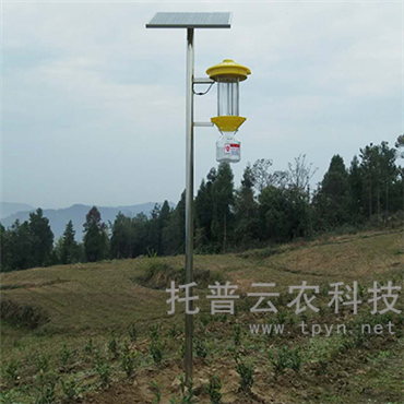 太陽能頻振式殺蟲燈